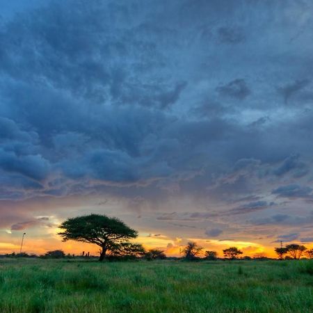 Khoi-Khoi Guesthouse Otavi Экстерьер фото