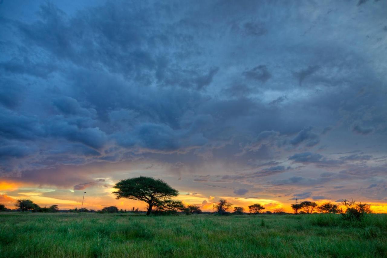 Khoi-Khoi Guesthouse Otavi Экстерьер фото