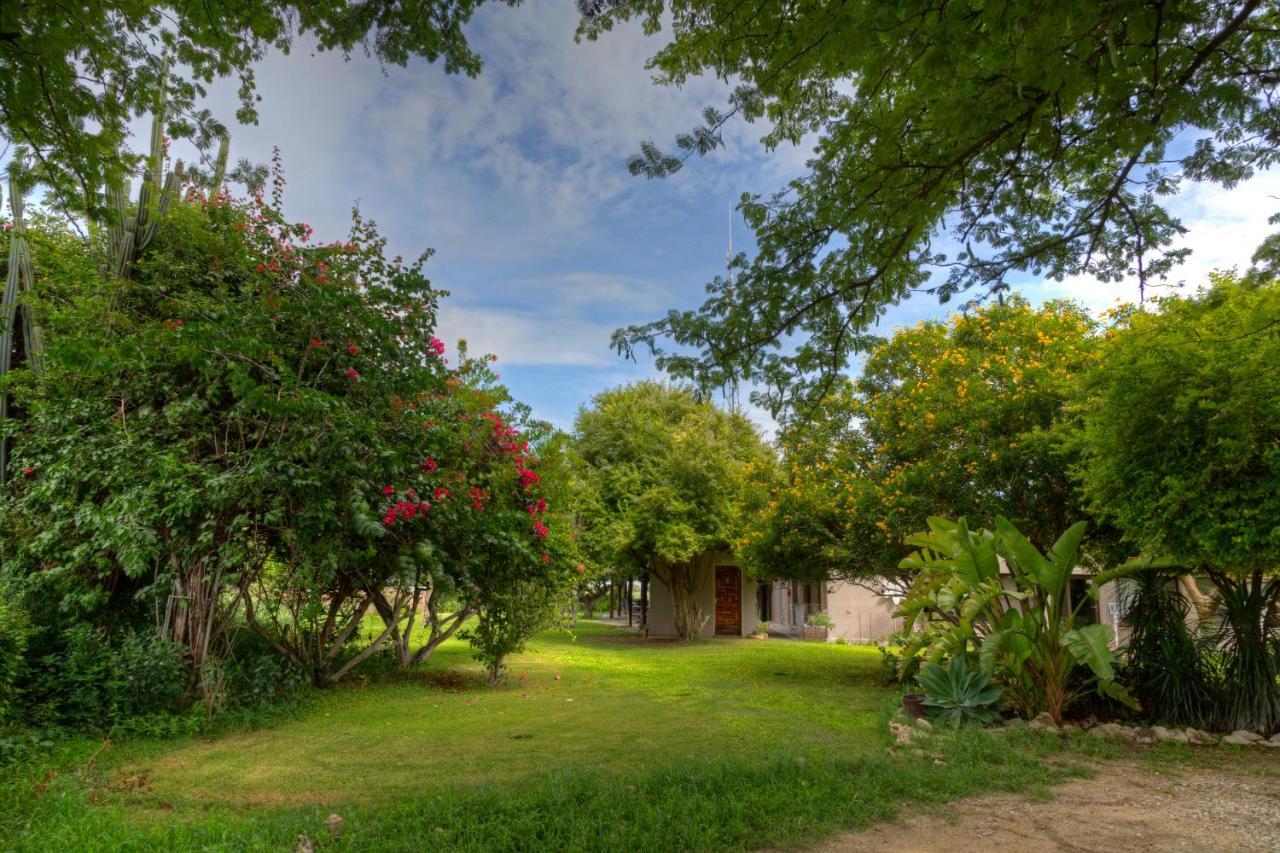 Khoi-Khoi Guesthouse Otavi Экстерьер фото
